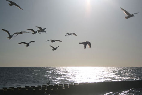 Ostsee 02