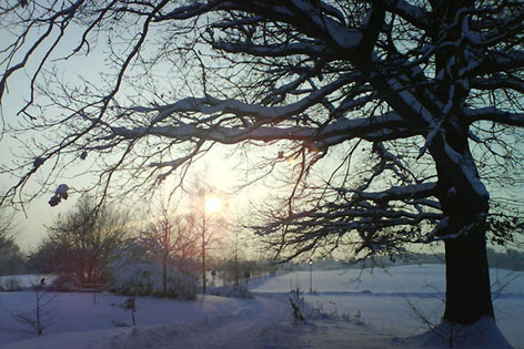 Schmiedeberg 01